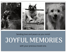 Load image into Gallery viewer, Joy Cards (10-pack)