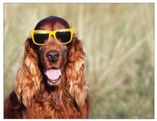 Load image into Gallery viewer, Joy Cards (10-pack)