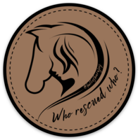 Load image into Gallery viewer, Stickers (individual, custom)