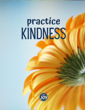 Load image into Gallery viewer, Joy Journals, sublimated