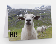 Load image into Gallery viewer, Joy Cards (10-pack)